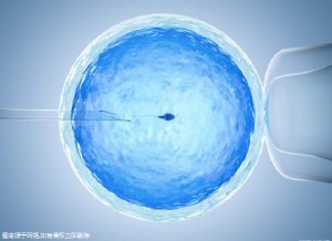 高龄二胎